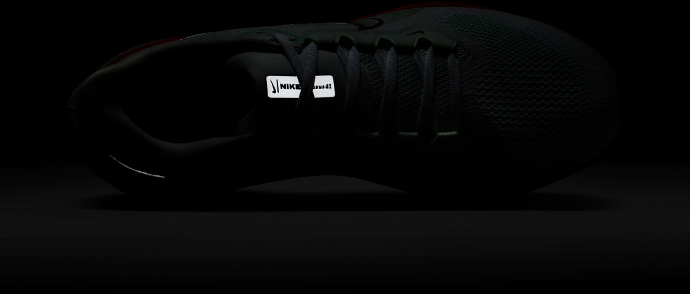 Кроссовки Nike PEGASUS 41 FD2722-115 р.44,5