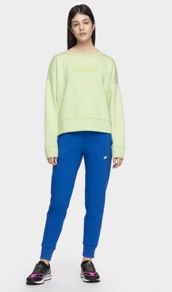 Брюки 4F NOSH4-SPDD001-36S р. L синий