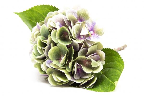 Цветок искусственный Гортензия фиолетовая 42 см 630577