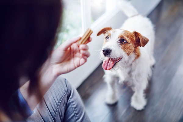 Лакомство Purina DentaLife Small для собак малых пород 115 г