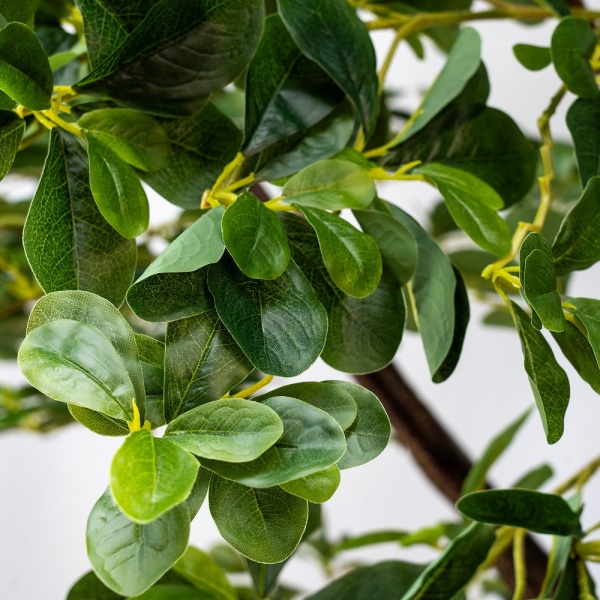 Дерево штучне Піттоспорум 250 см на підставці 360559