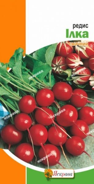 Семена Яскрава редис Илка 3г