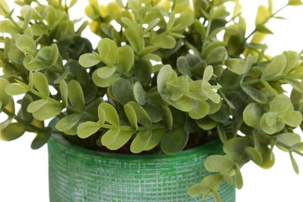 Цветочная композиция искусственная Кализия в цементном горшке 9.7х18 см