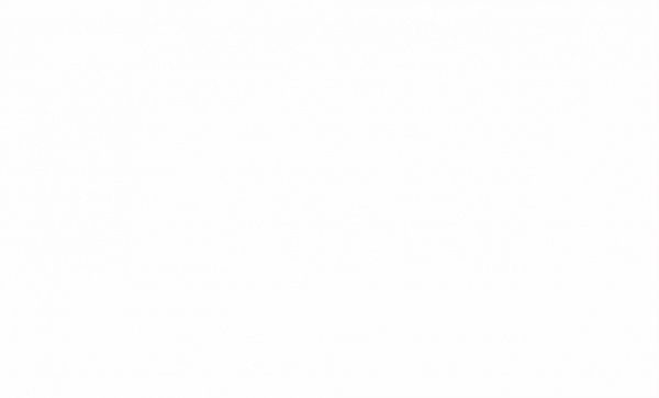 Шпалери вінілові на флізеліновій основі Erismann ELLE 12089-01 1,06x10,05 м 