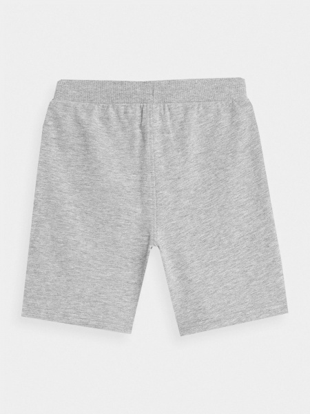 Шорти 4F SHORTS CAS M269 4FJRMM00TSHOM269-27M р. 158 сірий