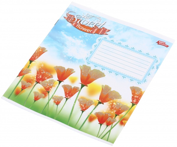 Тетрадь школьная с глитером 12 листов в клеточку в ассортименте Мечты сбываются