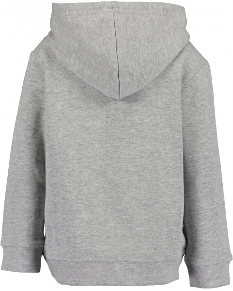 Реглан для хлопчика Blue Seven р.110 сірий 864709 X* 