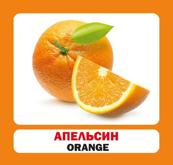 Книга «Навчальний посібник. Фрукти. англ.»