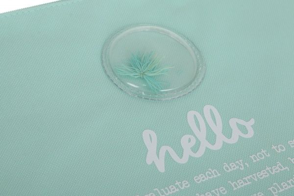 Папка Plants голубая