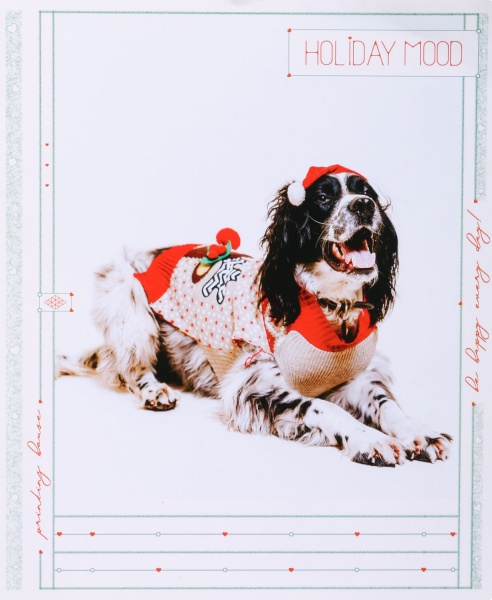 Тетрадь школьная Tadward коса