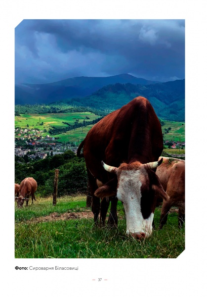 Книга «Дороги гурманів. 100 крафтових місць України» 978-617-7426-27-0