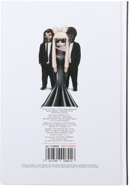 Блокнот Pets Rock А5 96 аркушів Леді