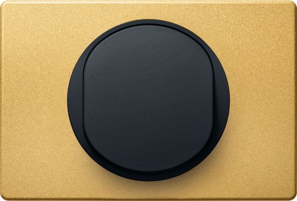 Вимикач прохідний одноклавішний Aling-Conel Eon без підсвітки 10 А 250В чорний E607.E1