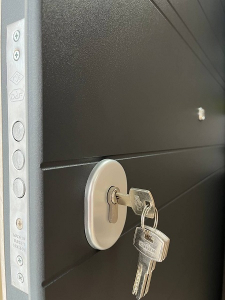 Дверь входная Tarimus Арина графит / дуб немо лате 2050х860 мм левая