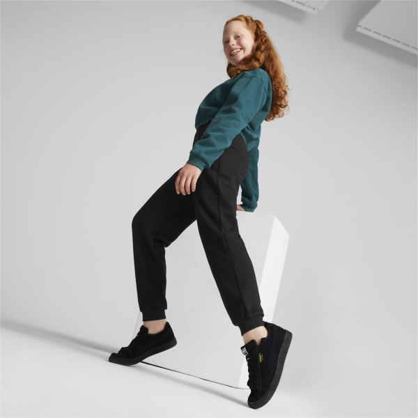 Штани Puma CLASSICS GRL RELAXED JOGGER FL CL G 67032301 р. 164 чорний
