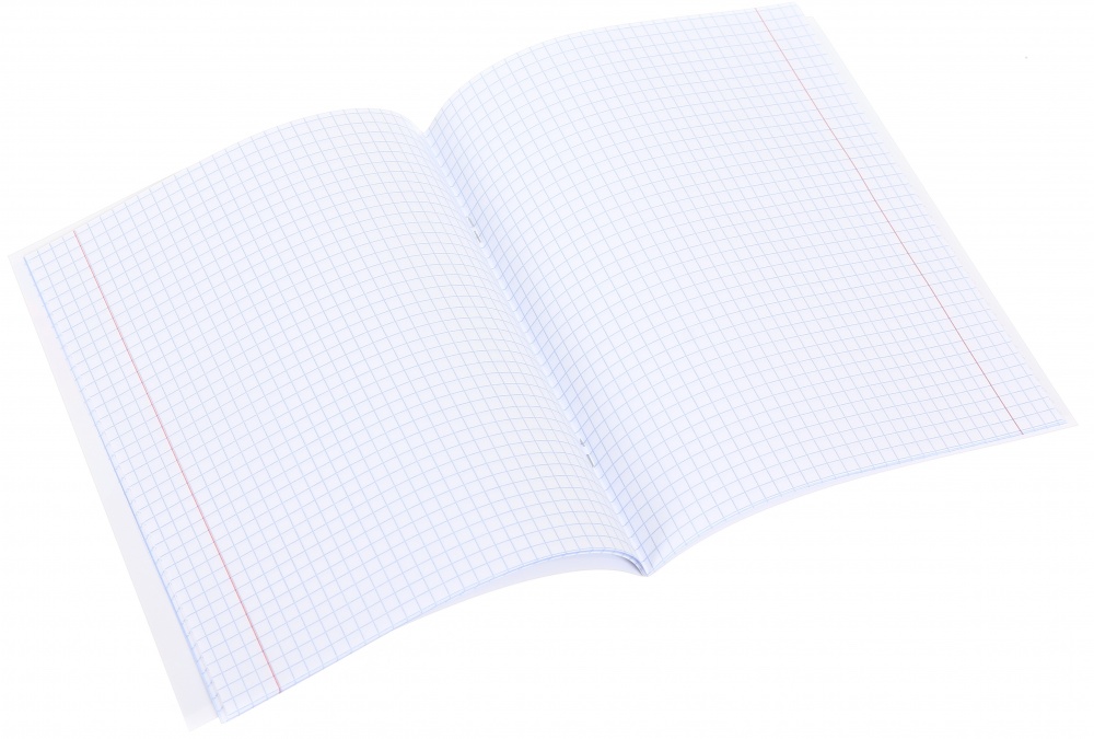 Зошит шкільний Asia24 24 аркуші скоба клітинка Nota Bene