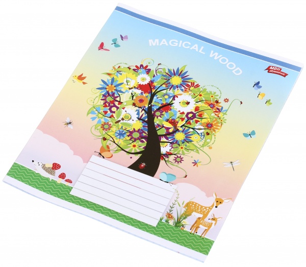 Тетрадь школьная 18 листов в клеточку в ассортименте Мечты сбываются