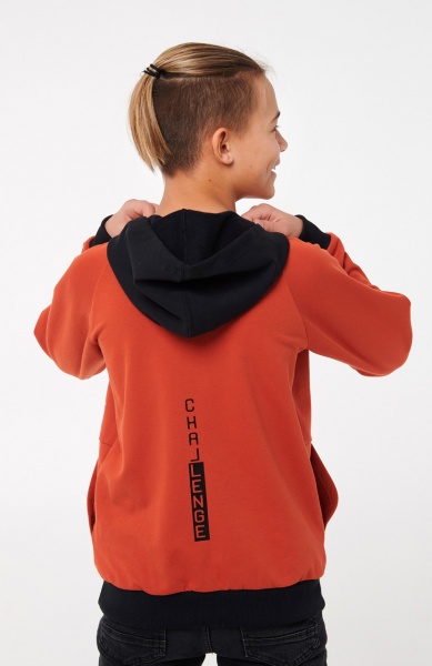 Толстовка для мальчика Smil р.164 кирпичный 116549 