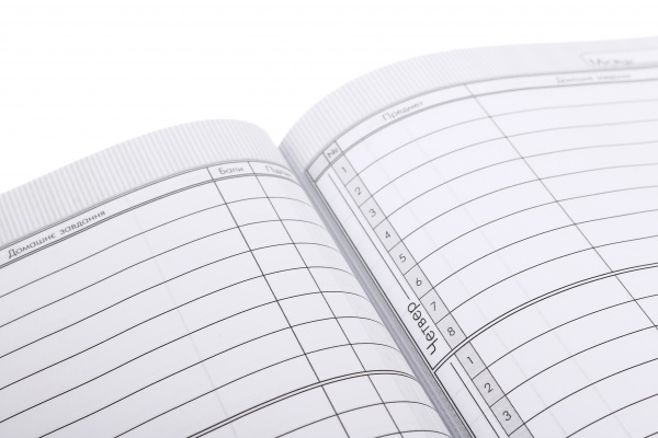 Дневник школьный в твердом переплете серия Мавка лесная песня 1 Nota Bene