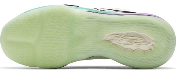Кроссовки Nike LEBRON XVII LOW CD5007-005 р.US 7,5 белый