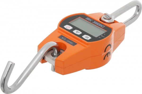 Весы крановые ЗЕВС ВК I 300 кг 