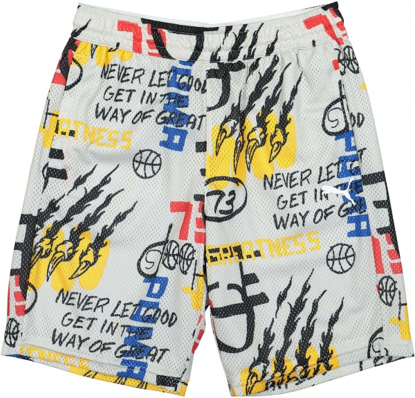 Шорти Puma Mesh Practice Short AOP 53413706 р. XL чорний