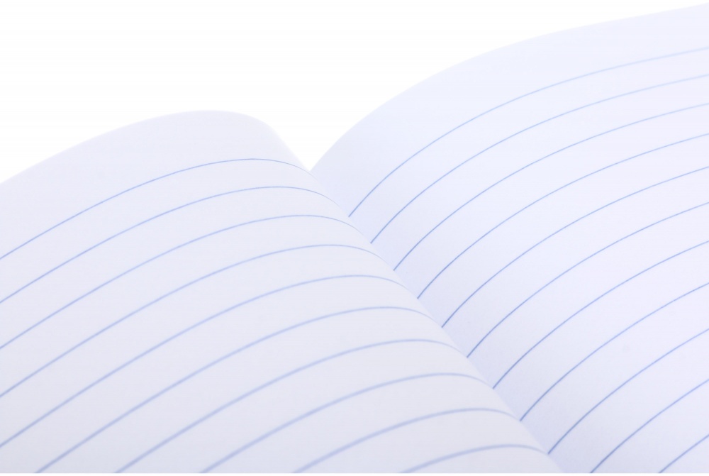 Тетрадь 18 листов в линию (2252547039014) Nota Bene