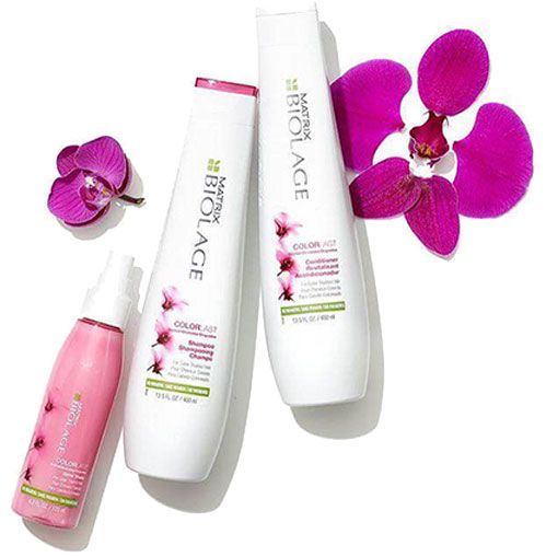 Шампунь Biolage для окрашенных волос 250 мл