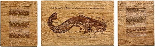 Картина Fish-Point тріптіх 