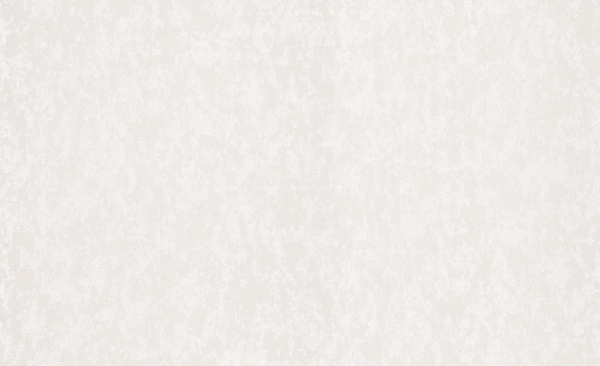 Шпалери вінілові на флізеліновій основі Status 403ST00 1,06x10,05 м 