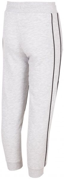 Брюки 4F HJZ19-JSPMD005-25S р. 134 серый