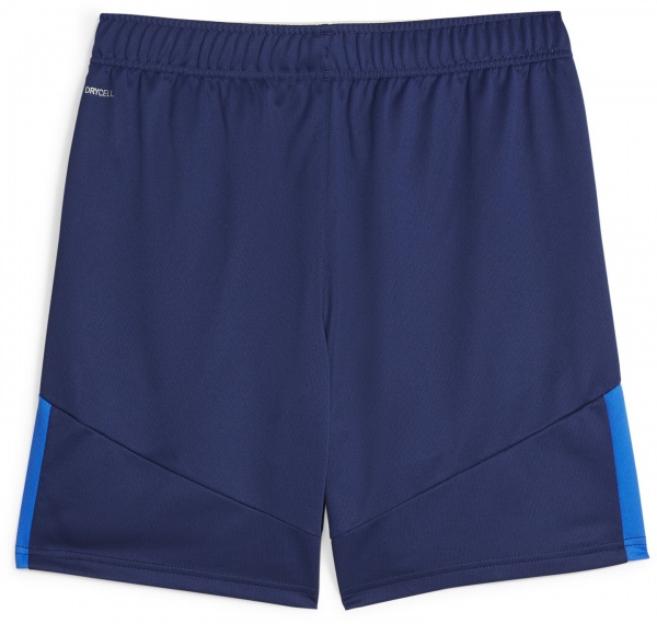 Шорты Puma NEYMAR JR INS. SHORTS 65850801 р. L синий