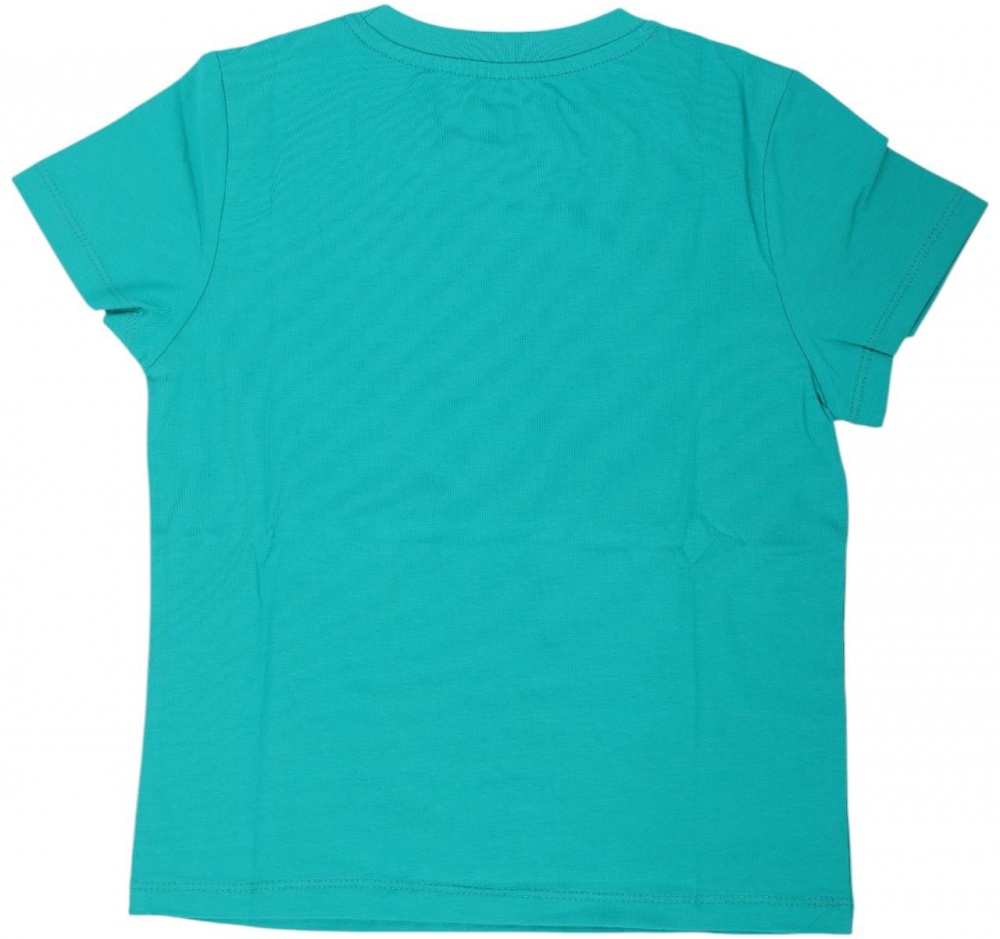 Футболка для мальчиков HW 2 шт. р.116/122 разноцветный 66051_55105