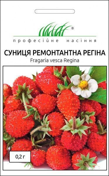Семена земляника альпийская ремонтантная Регина 0,2 г