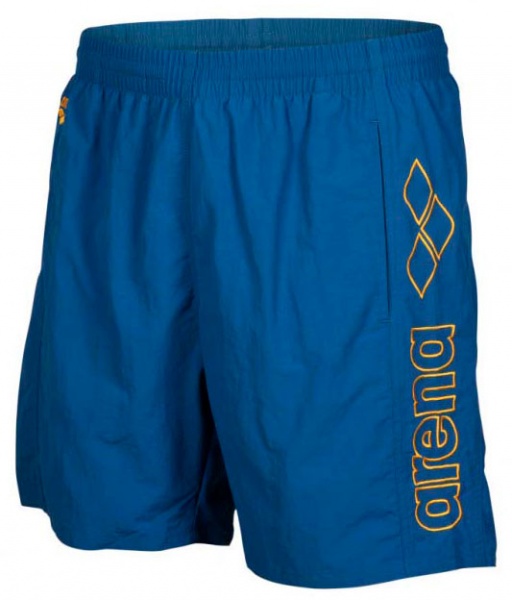 Шорти Arena BERRYN 43602-730 р. XL різнокольоровий