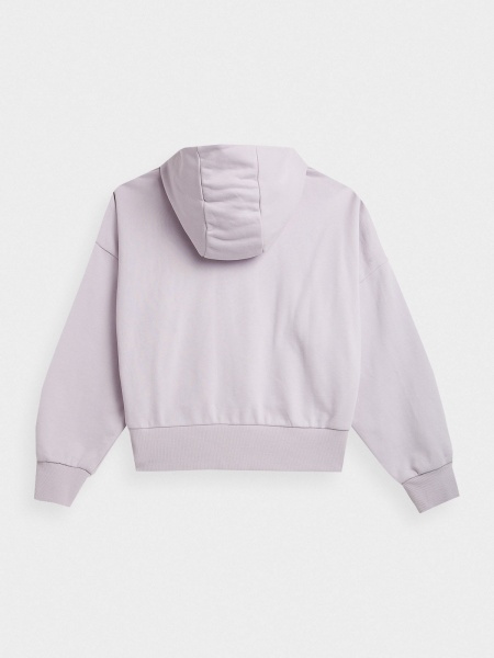 Джемпер 4F SWEATSHIRT F0717 4FAW23TSWSF0717-52S р.S розовый