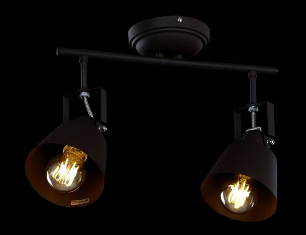 Спот Accento lighting ALIN-Stockholm-2 2x40 Вт E27 чорний 