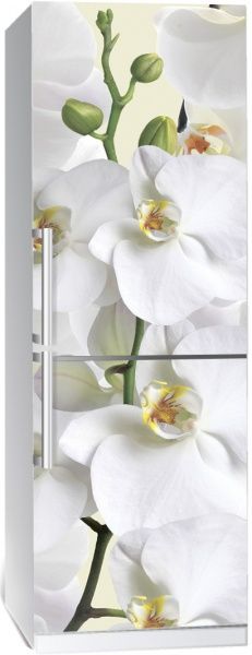 Наклейка на холодильник Zatarga Орхидея Z180077 65x200 см