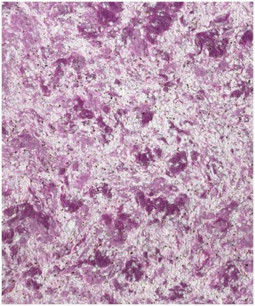 Рідкі шпалери Bioplast 413 1 кг 