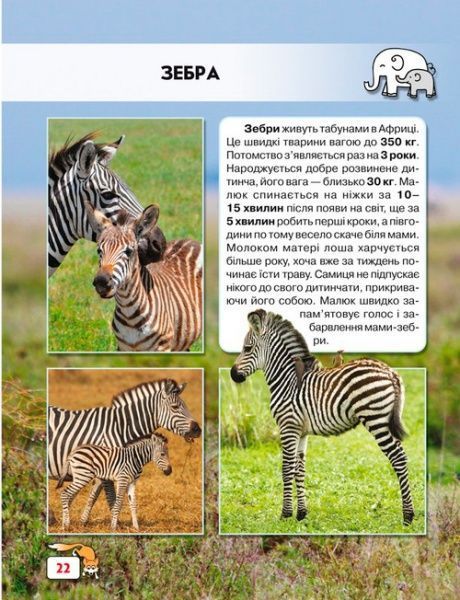 Книга «Світ навколо нас. Малята тварин» 978-966-9369-49-9