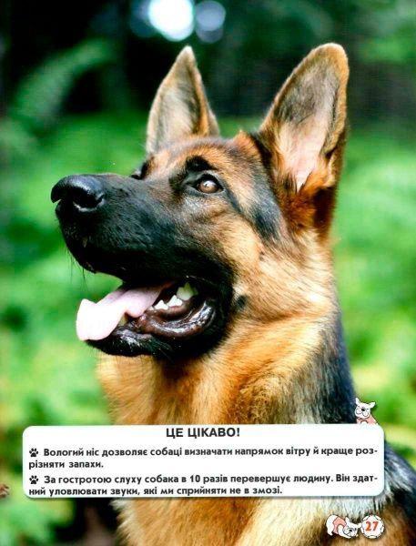 Книга Тамара Протасовицкая «Світ навколо нас. Собаки» 978-966-936-748-8