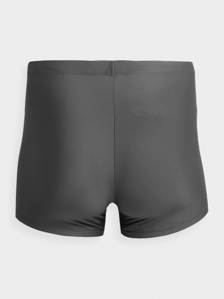 Плавки 4F 4FSS23USWTM009-22S р.L серый