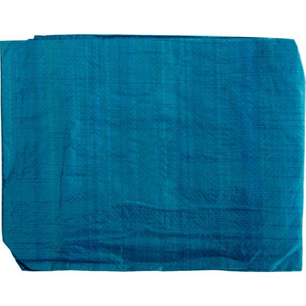 Тент універсальний X-Treme 10x12 м синій 