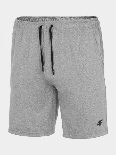 Шорты 4F NOSD4-SKMF301-25M р. XL серый