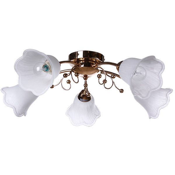 Люстра Accento Lighting Verona ALHu-HKC31238/5