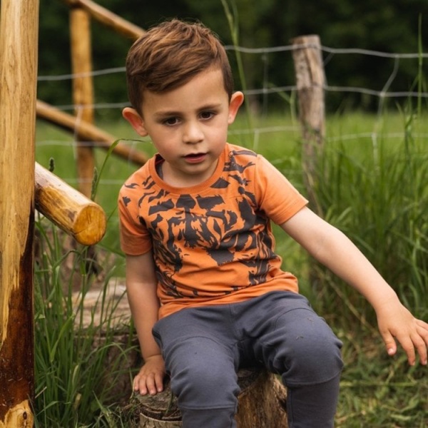 Футболка для мальчиков Koko Noko Леопард р.104 выцветший оранжевый T46877-37 