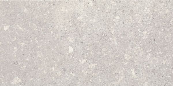 Плитка Ceramika Paradyz Aragorn Light Grys Mat 30x60 