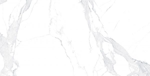 Плитка Allore Group Avenzo Silver F P 60х120 R Mat 1 