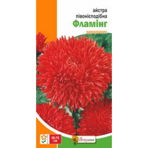 Семена Яскрава астра пионовидная Фламинг