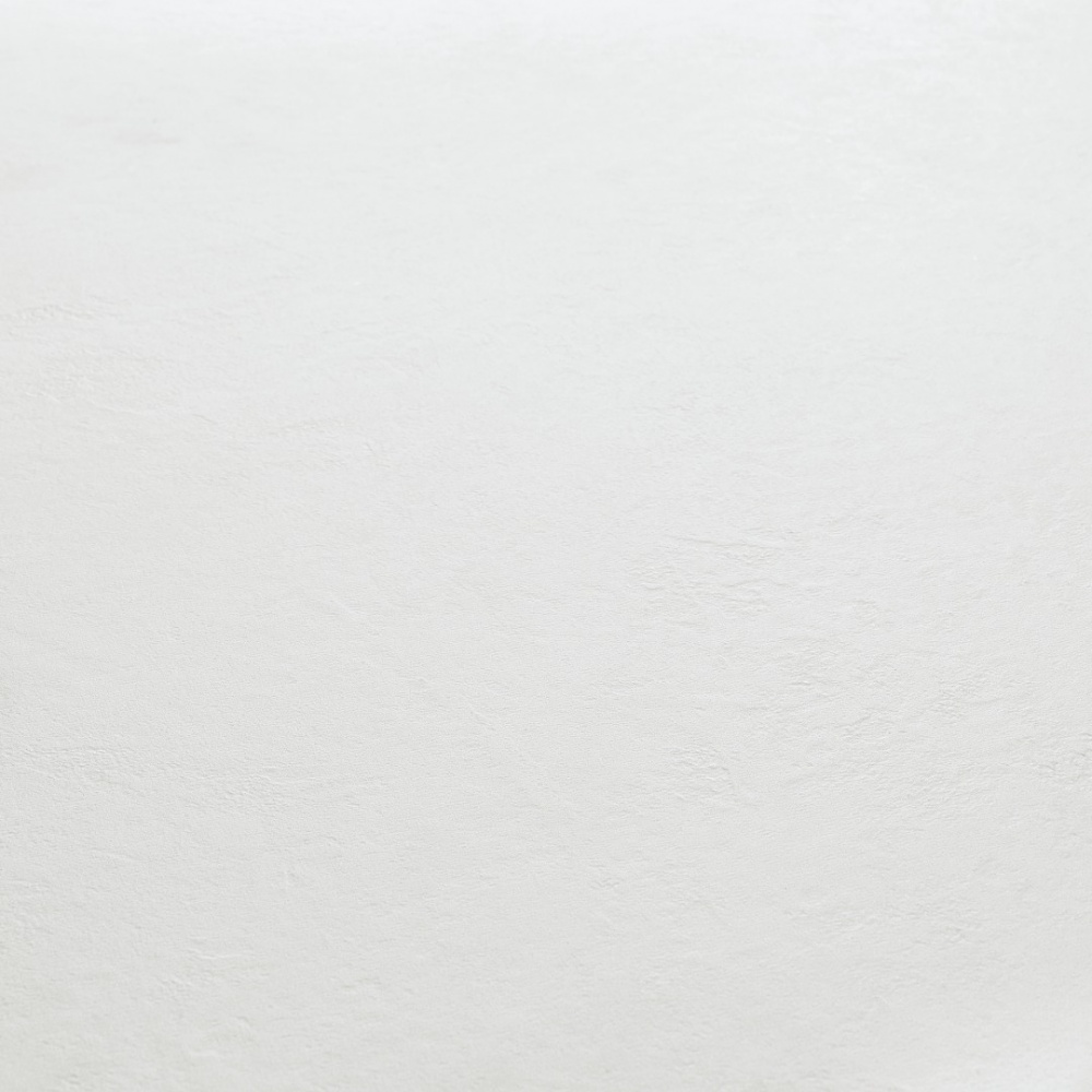 Панель SPC AFIRMAX SOLO WHITE 1200x600x4 мм (WAFT512C)